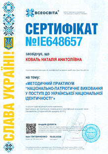 №IE648657