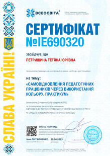 №IE690320