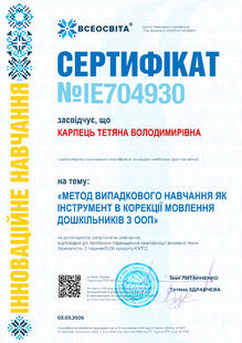 №IE704930