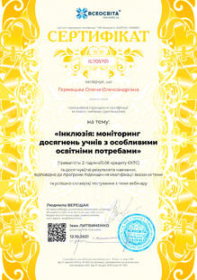 №IE705701