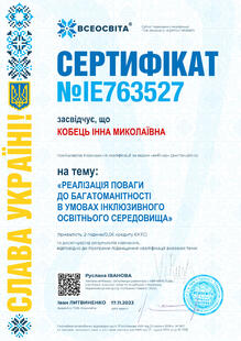 №IE763527