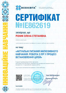 №IE862619