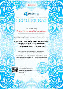 №IE895383