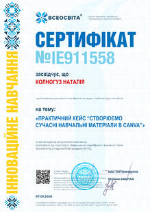 №IE911558