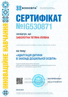 №IG530871