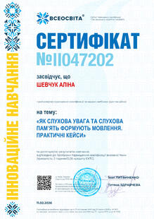 №II047202