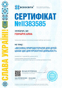 №II383585