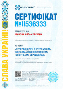 №II536333