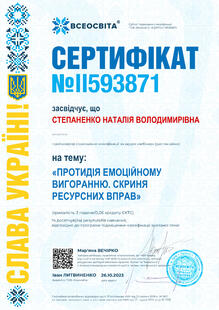 №II593871