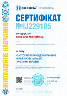 №IJ229185