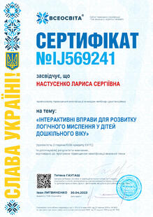 №IJ569241