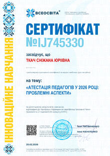 №IJ745330
