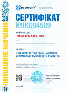 №IK694509