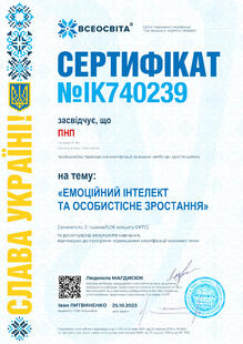 №IK740239