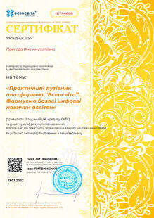 №IK744868