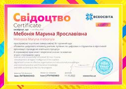 Сторона №1