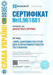 №IL961881
