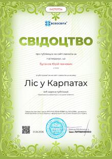 №IM270734