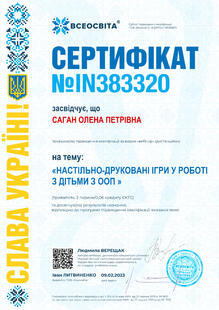 №IN383320
