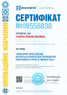 №IN558838