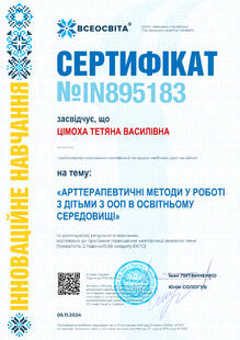 №IN895183