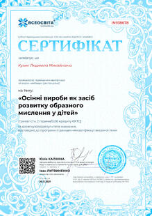 №IN938678
