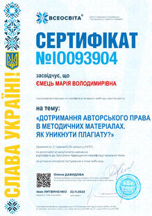 №IO093904