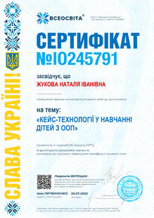 №IO245791