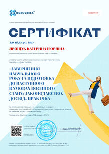 №IO539172