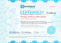 Сторона №1