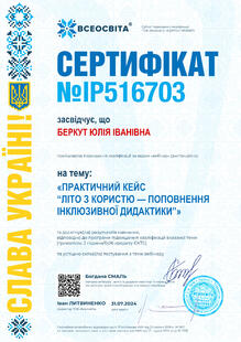 №IP516703