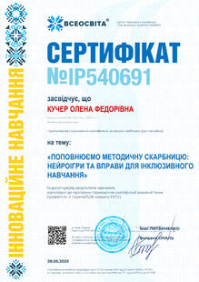 №IP540691