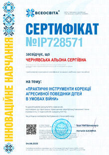 №IP728571
