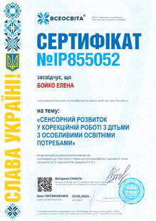 №IP855052