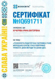 №IQ691711