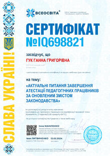 №IQ698821
