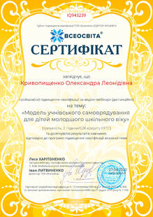 №IQ943239