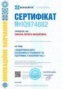 №IQ974882