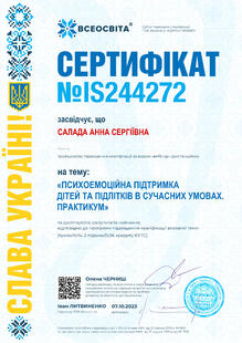 №IS244272