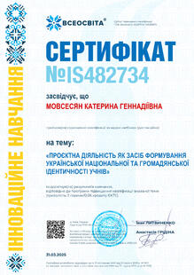 №IS482734