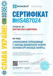 №IS487024
