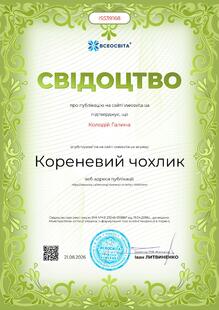 №IS539168