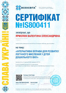 №IS800411