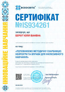 №IS934261