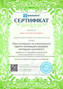 №IS961252