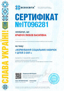 №IT096281