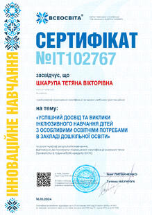 №IT102767