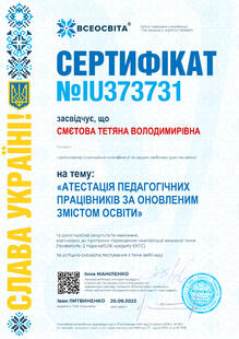 №IU373731