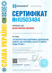 №IU503484