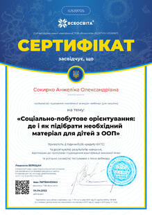 №IU539705